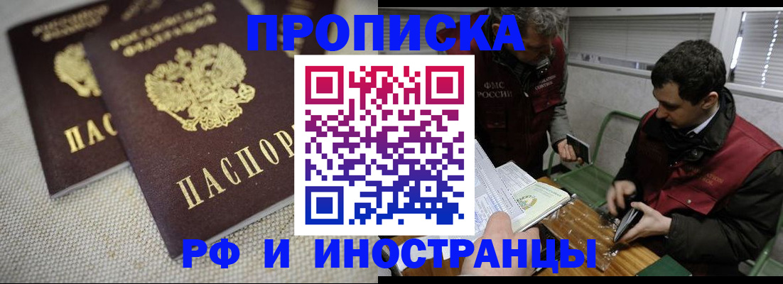 прописка для школы в Камышине