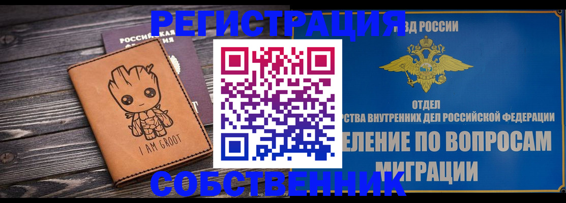 найти адрес прописки в Камышине